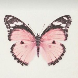 Meet your Posher, Jeanne